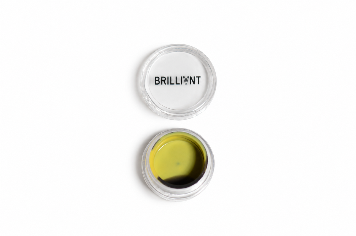 Brilliant Acrylic Shell Silicone Container