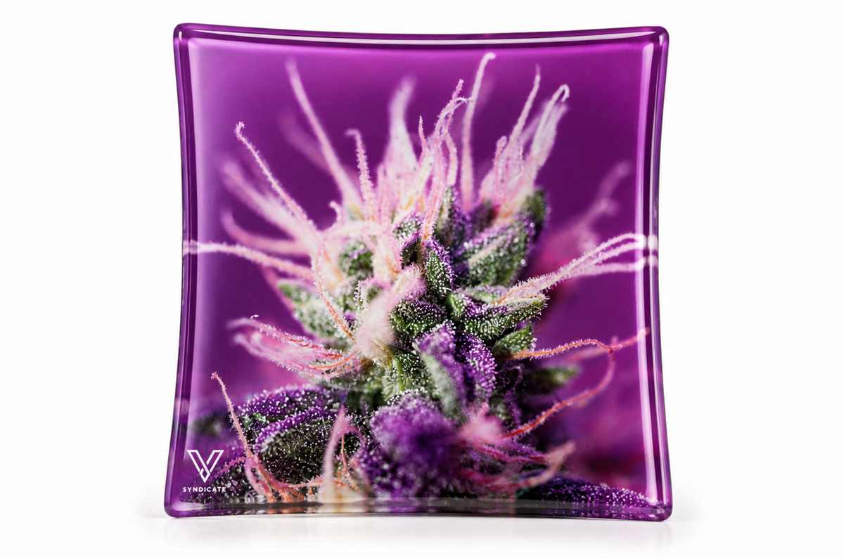 Syndicate Glass Ashtray