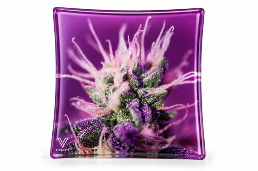 Syndicate Glass Ashtray